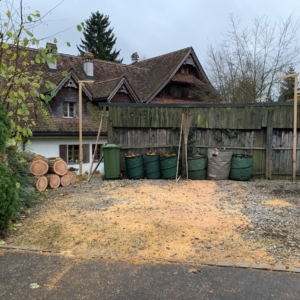 Baugespann-Roden-Vorarbeiten